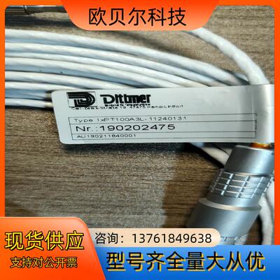 德国Dlttmer 1xPT100A3L-11240131