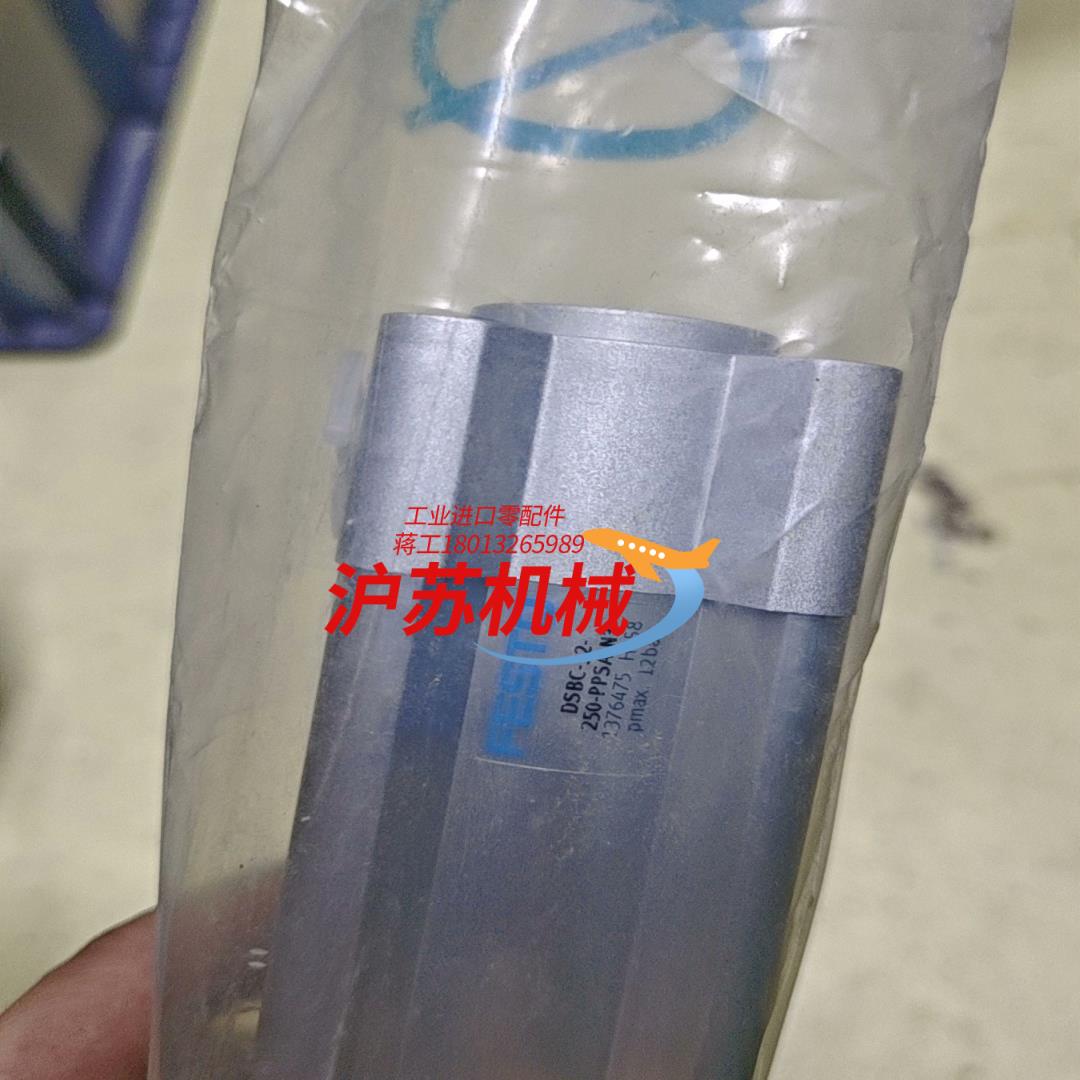 DSBC-32-250-PPSA-N3标准气缸1376