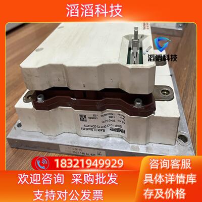 现货SKIIP1013GB172-2DK1203