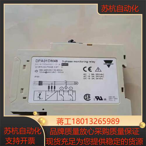 J106*瑞士佳乐监控保护继电器DPA01DM48 38