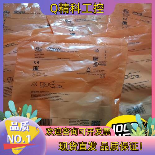现货IFM易福门 全新 原装 IGW202