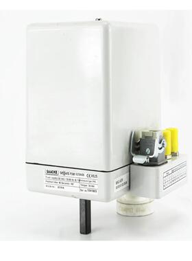 [德峰] se A66025visFSM6215 @SAACKE