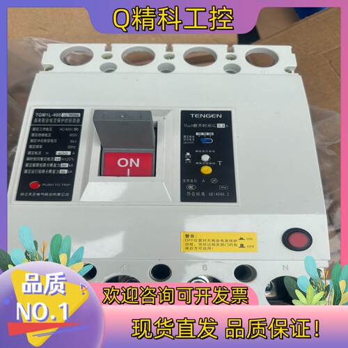 天正TGM1L-400/3N300漏电断路器