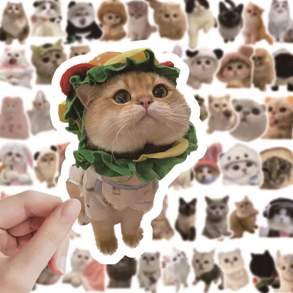 60张可爱ins风小猫贴纸