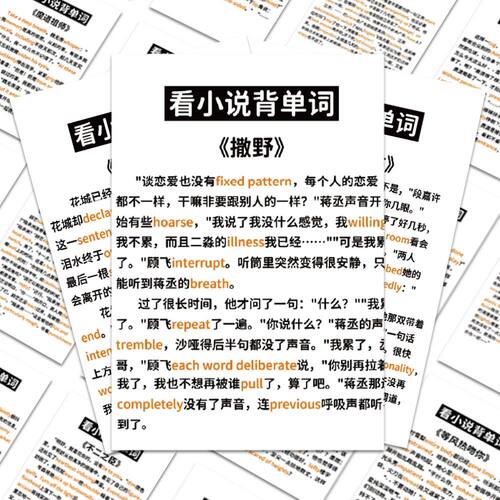60张看小说背单词神器贴纸