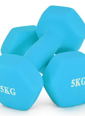 诚悦彩色浸塑哑铃男女家用健身塑型器材组合套装5kg*2宁静蓝色CY-