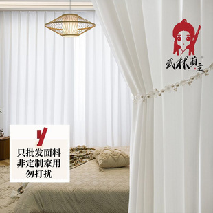 透光不透人太空幻影纱新款加厚轻奢客厅卧室白色窗帘窗纱布料