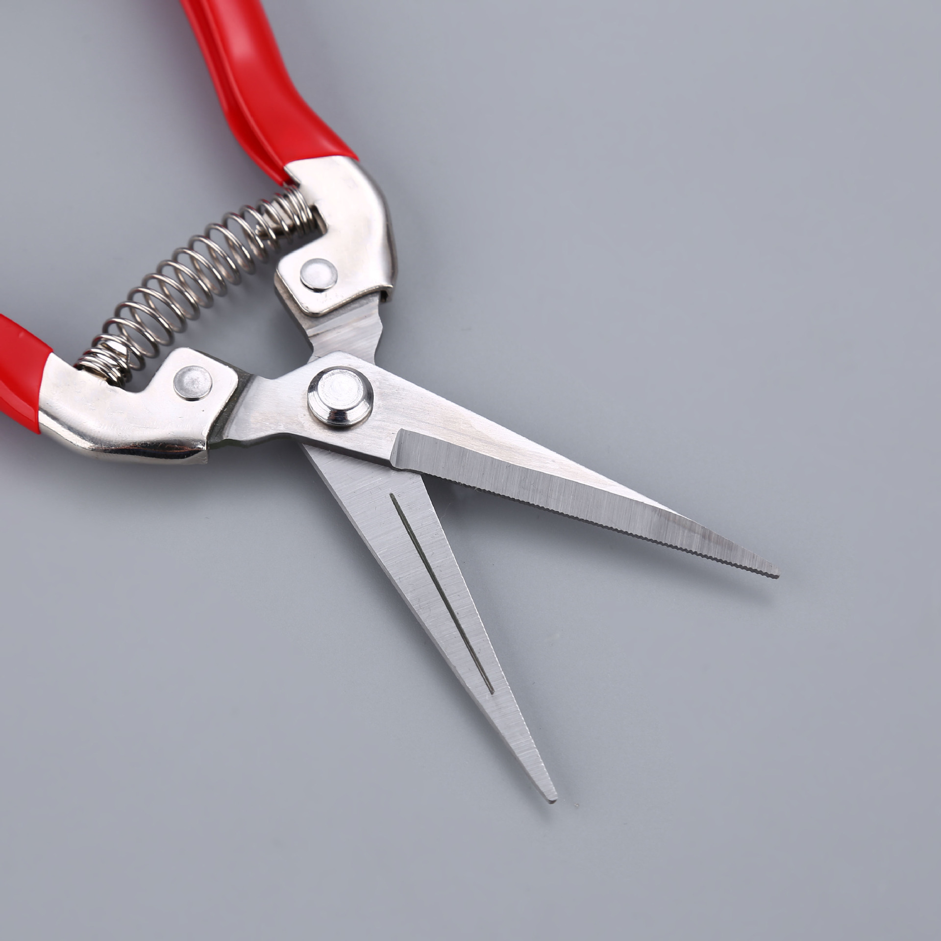 源头厂货疏花剪鲜花稀果剪葡萄荔