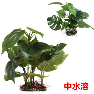 新款 爬宠箱仿真植物水草假山摆件鱼缸造景观赏塑料龟背竹中水溶