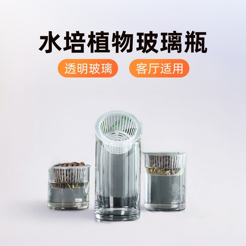水培植物玻璃瓶透明客厅花瓶水养绿萝白掌玻璃空器定植篮花器,家居饰品,壁饰,淘宝优惠券,粉丝福利购,淘宝优惠卷
