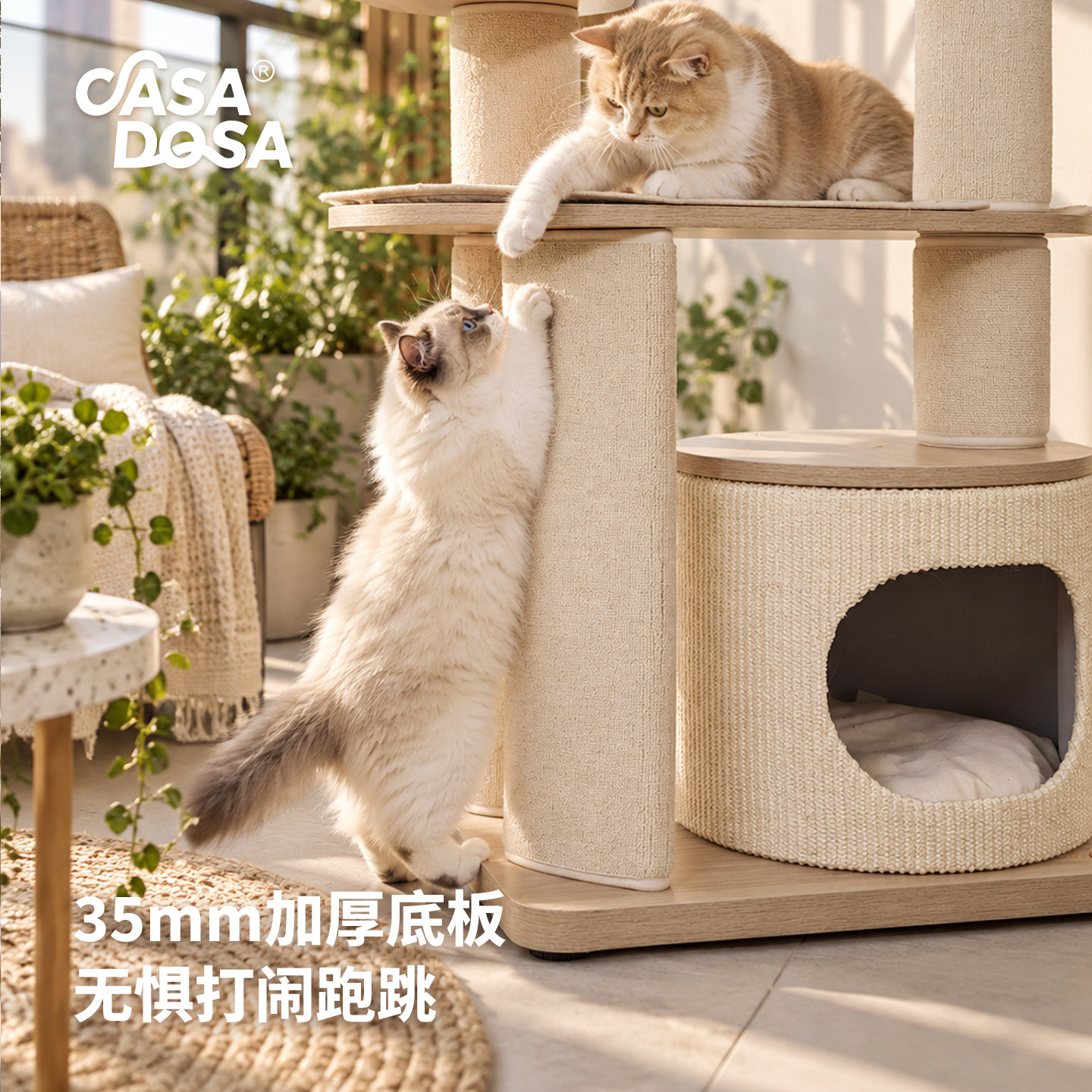 CasaDosa猫爬架小户型不占地家用室内猫窝猫抓板攀爬架猫树一体