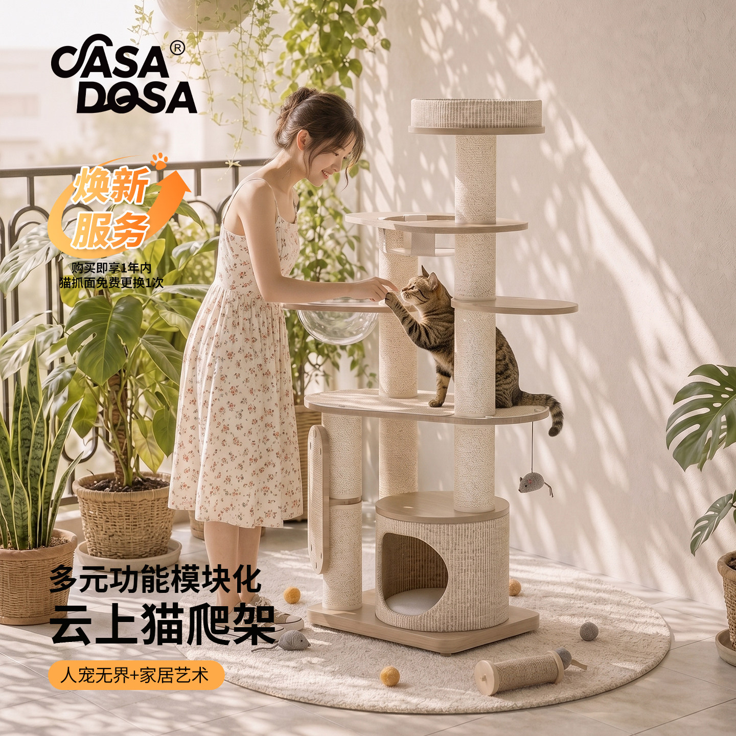 CasaDosa猫爬架实木小户型不占地大猫专用猫窝猫树一体家用攀爬架
