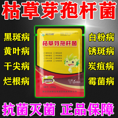 枯草芽孢菌杆菌兰花桂花专用肥料微生物菌剂农用植物菌肥杀菌剂y