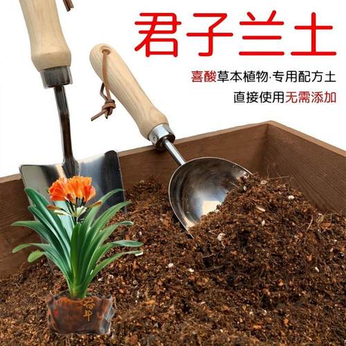 君子兰专用土疏松透气营养土椰糠泥炭土防腐防虫花卉兰花土肥料厂