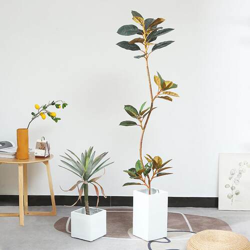 北欧风仿真绿植大型落地假植物盆栽商场家居室内橡皮树造景摆件