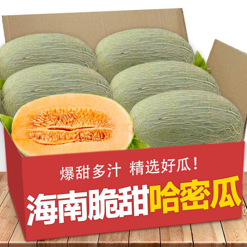 海南哈密瓜10斤当季新鲜水果一整箱网纹甜瓜孕妇西州蜜瓜香瓜包邮