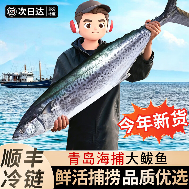 青岛特大鲅鱼当季捕捞山东马鲛鱼新鲜冷冻燕鲅鱼马友鱼整条礼盒装