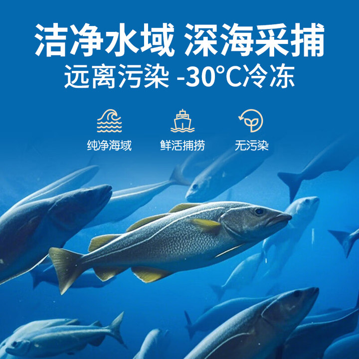 大西洋真鳕鱼中段婴幼儿辅食
