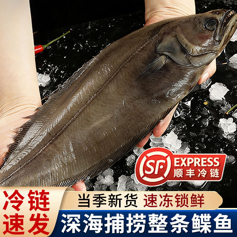 超大号鲽鱼新鲜现切整条深海碟鱼身比目鱼鲜活冷冻深海鸦片鱼鳐鱼