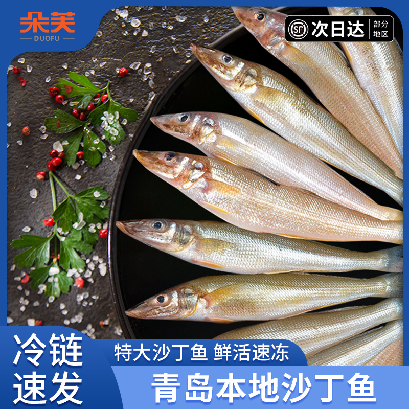 青岛本地海捕沙丁鱼新鲜速冻