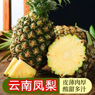 云南黑钻凤梨多汁手撕菠萝当季鲜果手撕凤梨现摘现发9斤新鲜香甜