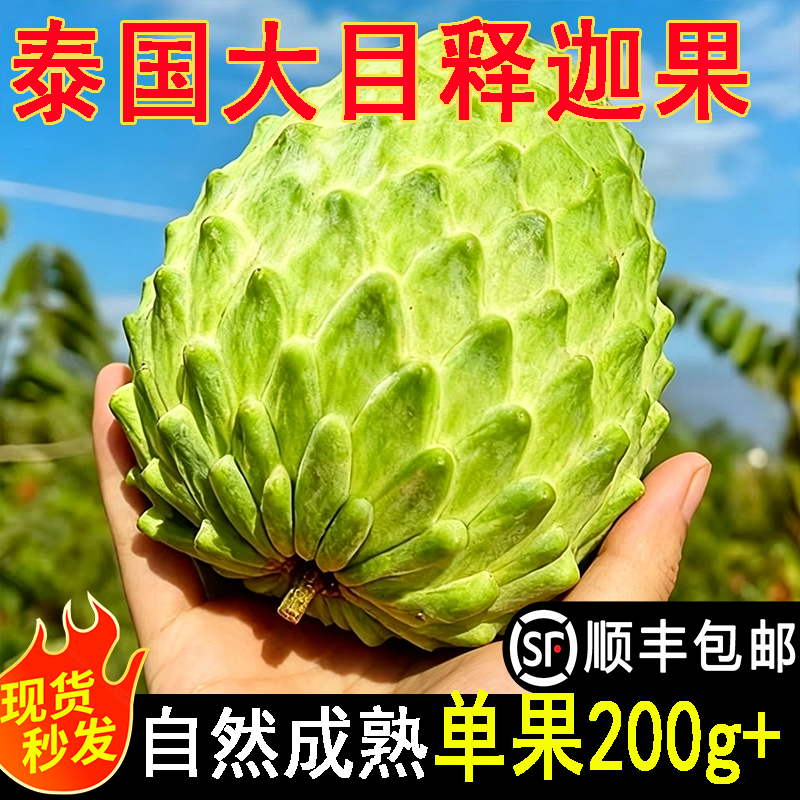 泰国大目凤梨释迦果新鲜当季孕妇水果现摘番荔枝佛头果摩尼果大果