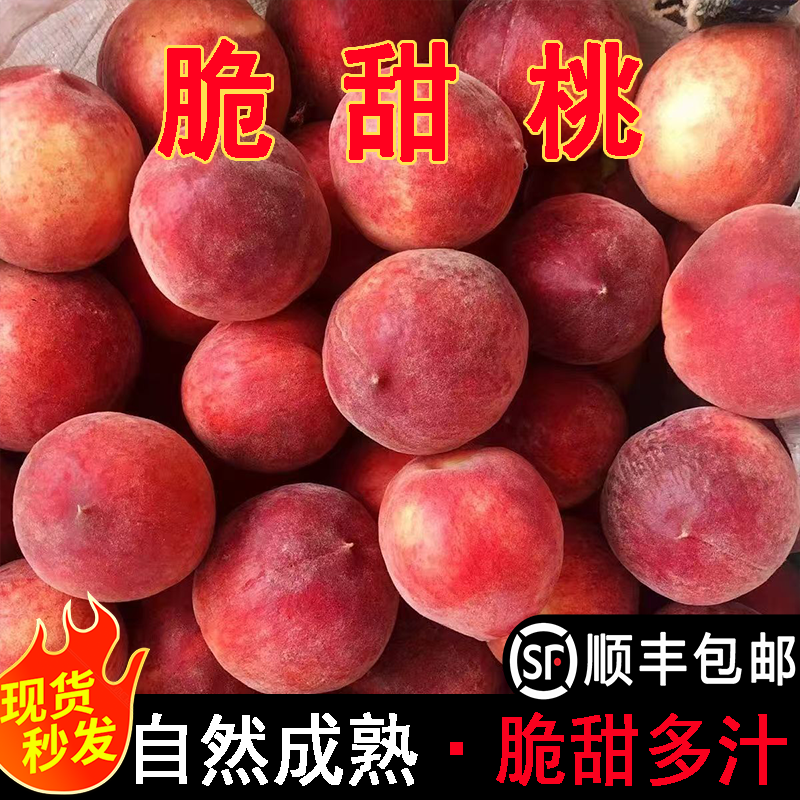 现货脆甜脆桃毛桃子水蜜桃六月桃特好吃浙江当季水果小蜜露新