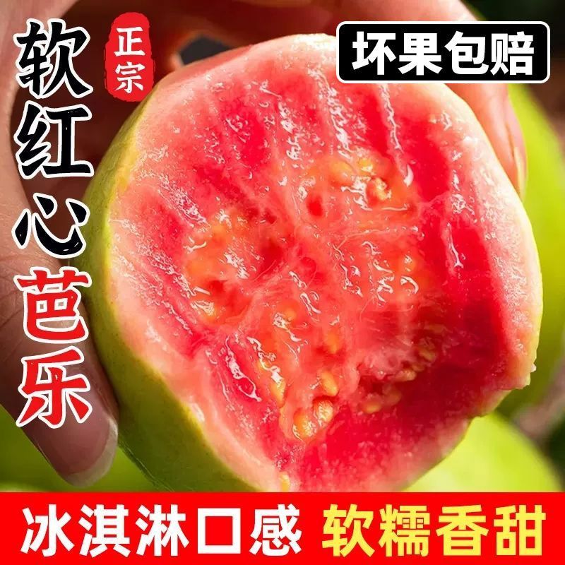 福建红心芭乐软糯番石榴5斤新鲜水果当季整箱红巴乐水果包邮低糖
