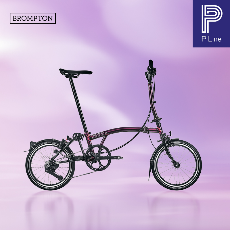 小布折叠自行车12速流光紫清漆
