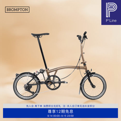 小布折叠自行车4速落日铜