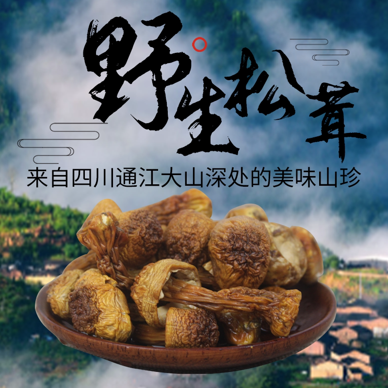 干货松茸天然新货菌菇新鲜