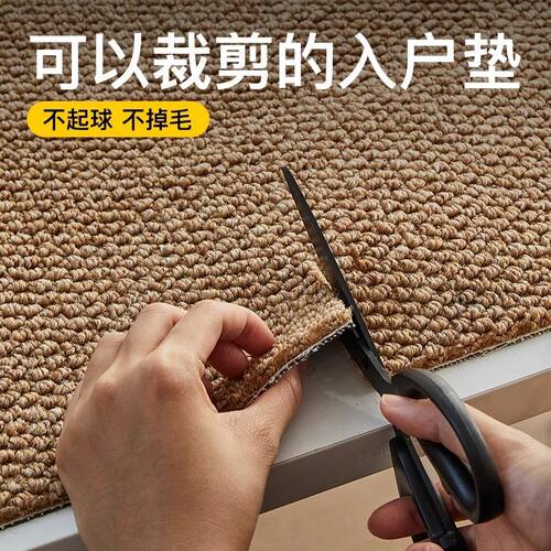 仿剑麻菠萝圈地毯加厚玄关地垫