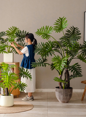 彷真绿色植物春羽树盆栽假植物室内家居大型落地造景客厅装饰摆件