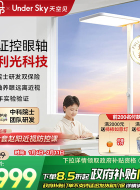 UnderSky天空见C1Pro立式大路灯学习专用台灯儿童钢琴落地护眼灯