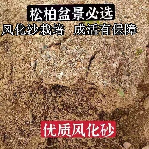 热销松柏专用土盆景栽培风化砂营养土H酸性沙质泥炭种植肥料家用