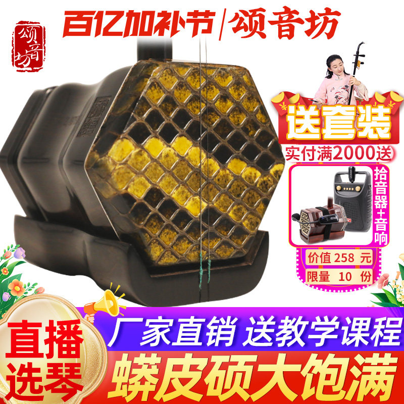 颂音坊黑檀二胡名牌乐器厂家直销演奏专业龙头大音量高级胡琴苏州