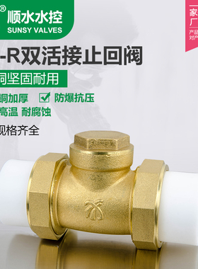 双热熔活接单向卧式逆止PPR黄铜止回阀自来水管4分6分1寸20 25 32