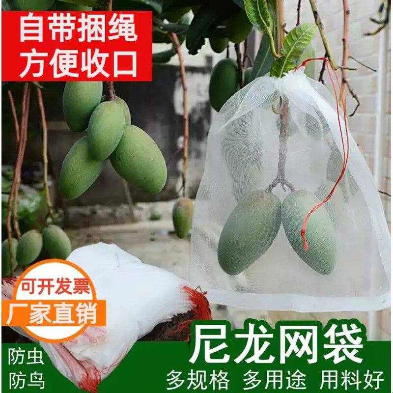 防虫袋瓜果防果蝇防鸟袋滤网浸种袋葡萄蔬菜水果套袋尼龙防虫网袋