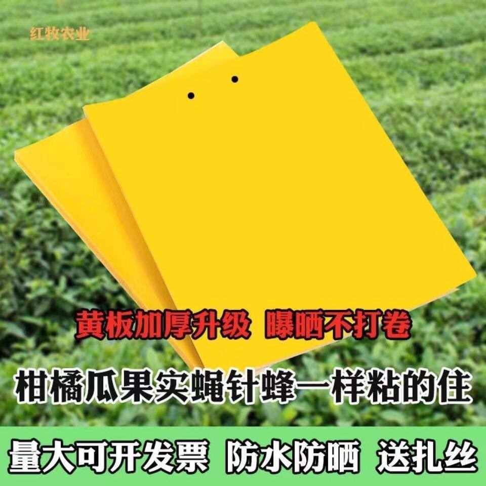 双面防水粘虫板黄板诱虫板柑橘瓜果实蝇针蜂蓟马大棚篮板果园驱蚊