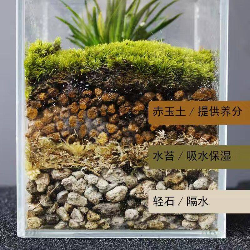 水陆缸造景材料基质干水苔三本线硬质赤玉土颗粒水族造景轻石整套