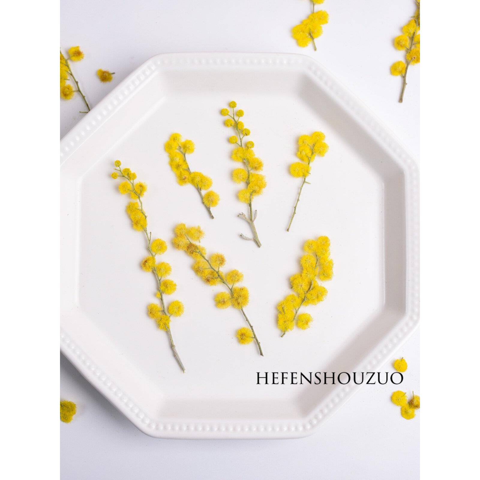 金合欢真花压花圣诞花干花滴胶饰品材料封入物花卉小清新手工