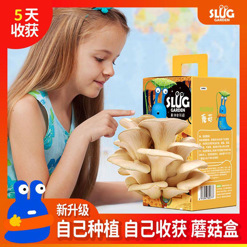 蘑菇种植包可食用蘑菇菌包菌种平菇香菇阳台家种diy儿童趣味盆栽