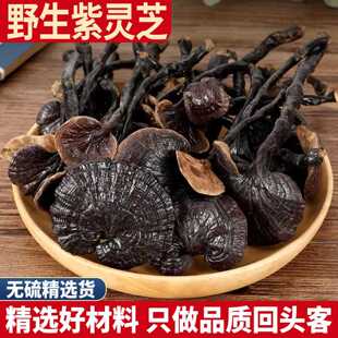野生紫灵芝 500克 紫灵芝泡酒 紫芝林芝可切灵芝片干货