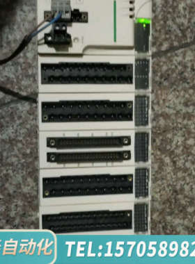 华泰plc   BMXCPS2000   1只，