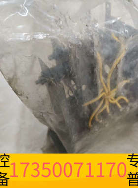 华泰船用模块6M4M100C