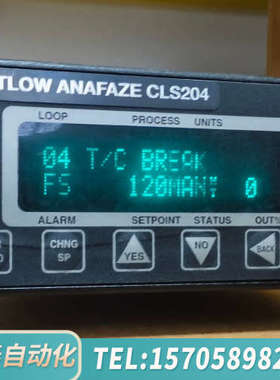 华泰瓦特龙WATLOW ANAFAZE CLS204温控器，20