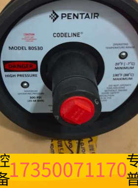 华泰PENTAIR  MODEL 80S30  端盖- 未使