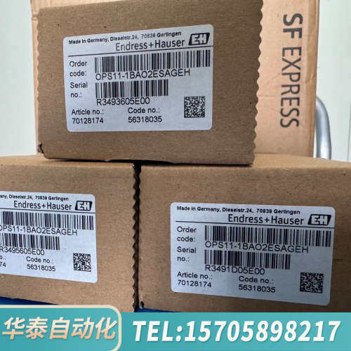 华泰E+H恩德斯豪斯电极，型号OPS11-1BAO2ESAG