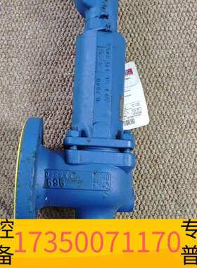 华泰LESER莱斯安全阀，DN40，PN40，Type:44