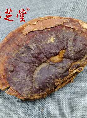 海南农户自采 红灵芝 无柄赤芝平盖林中芝丹芝零售直销非种植